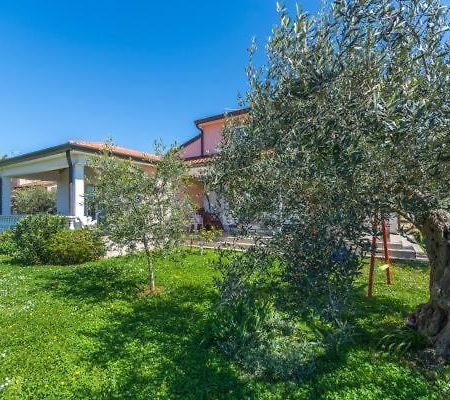 Apartment Liam Novigrad Istria Exteriér fotografie